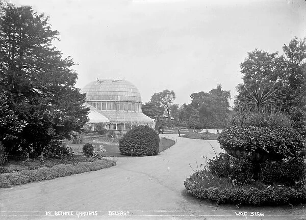 In Botanic Gardens, Belfast