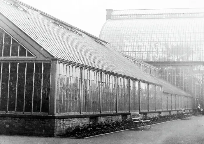 Framed Print : Botanic Gardens Liverpool early 1900s Framed Print : Botanic Gardens Liverpool early 1900s
