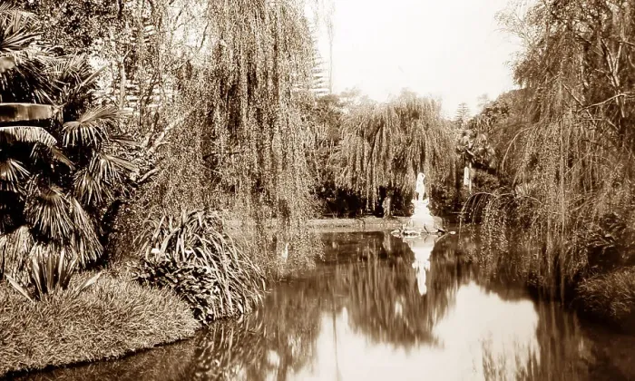 Framed Print : Botanic Gardens, Sydney, NSW, Australia, Victorian period Framed Print : Botanic Gardens, Sydney, NSW, Australia, Victorian period
