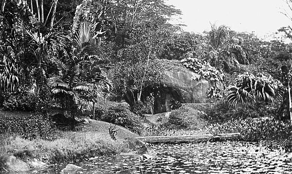 Botanical Gardens, Mahe, Seychelles