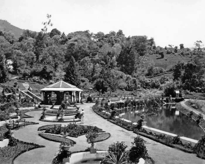 Framed Print : Botanical Gardens, Ootacamund, Tamil Nadu, India Framed Print : Botanical Gardens, Ootacamund, Tamil Nadu, India
