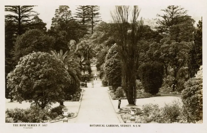 Framed Print : Botanical Gardens, Sydney, New South Wales, Australia Framed Print : Botanical Gardens, Sydney, New South Wales, Australia