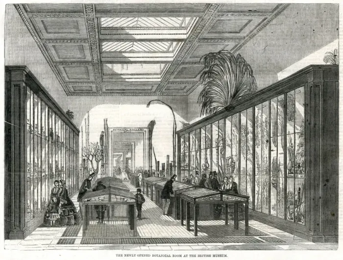 Framed Print : Botanical room, British Museum 1858