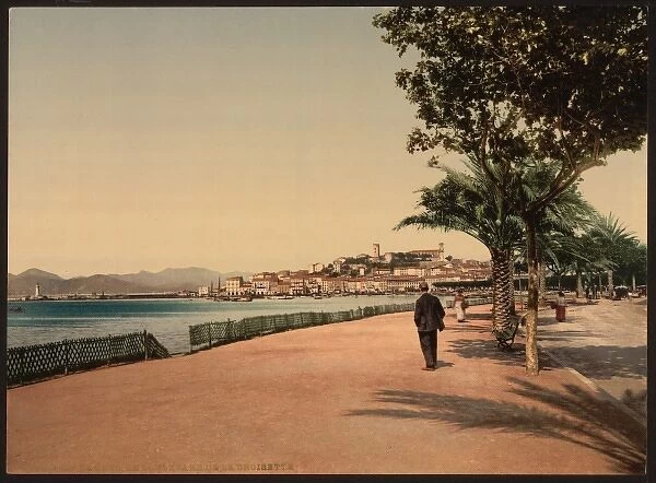 The boulevards, Cannes, Riviera