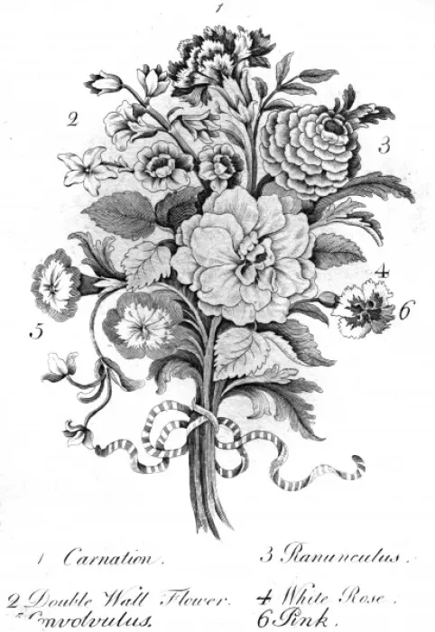 Framed Print : Bouquet of assorted flowers Framed Print : Bouquet of assorted flowers