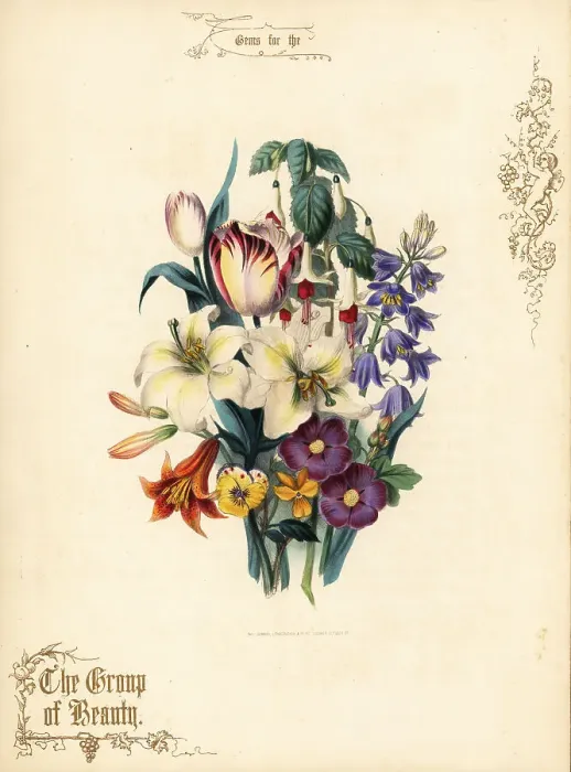 Framed Print : Bouquet of lilies, tulip, fuchsia, tiger lily Framed Print : Bouquet of lilies, tulip, fuchsia, tiger lily