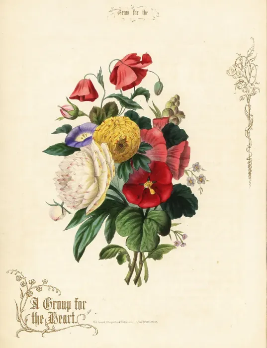 Framed Print : Bouquet of poppies, ranunculus, morning glory, hollyhock Framed Print : Bouquet of poppies, ranunculus, morning glory, hollyhock