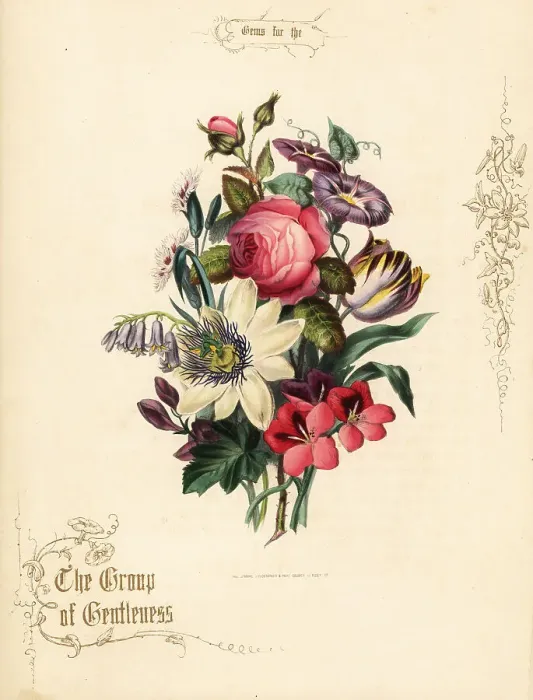 Framed Print : Bouquet of rose, passion flower, tulip, geranium Framed Print : Bouquet of rose, passion flower, tulip, geranium