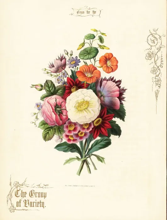 Framed Print : Bouquet of white rose, dahlia, nasturtium, auricula Framed Print : Bouquet of white rose, dahlia, nasturtium, auricula