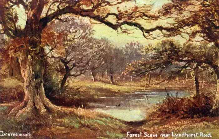 Framed Print : Bournemouth, Forest scene near Lyndhurst Road Framed Print : Bournemouth, Forest scene near Lyndhurst Road