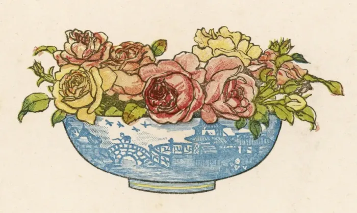 Framed Print : Bowl of Roses Framed Print : Bowl of Roses