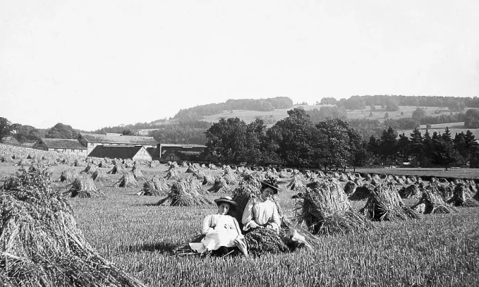 Framed Print : Box Hill Dorking haymaking Victorian period Framed Print : Box Hill Dorking haymaking Victorian period