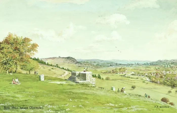 Framed Print : Box Hill, near Dorking, Surrey Framed Print : Box Hill, near Dorking, Surrey