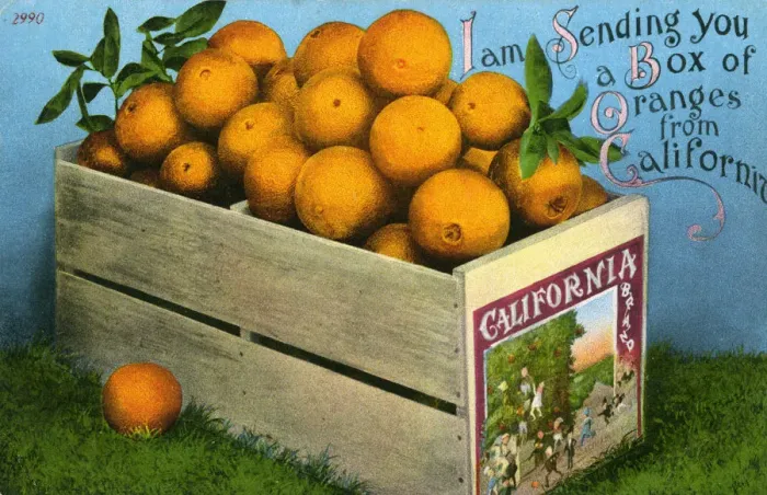 Framed Print : Box of Oranges from California Framed Print : Box of Oranges from California