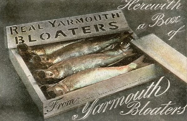 Box of Real Yarmouth Bloaters