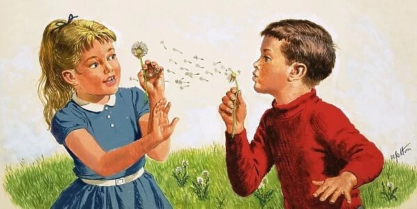 Boy blowing a dandelion clock