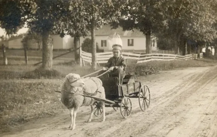 Framed Print : A boy in a custom made cart, drawn by a pet sheep Framed Print : A boy in a custom made cart, drawn by a pet sheep