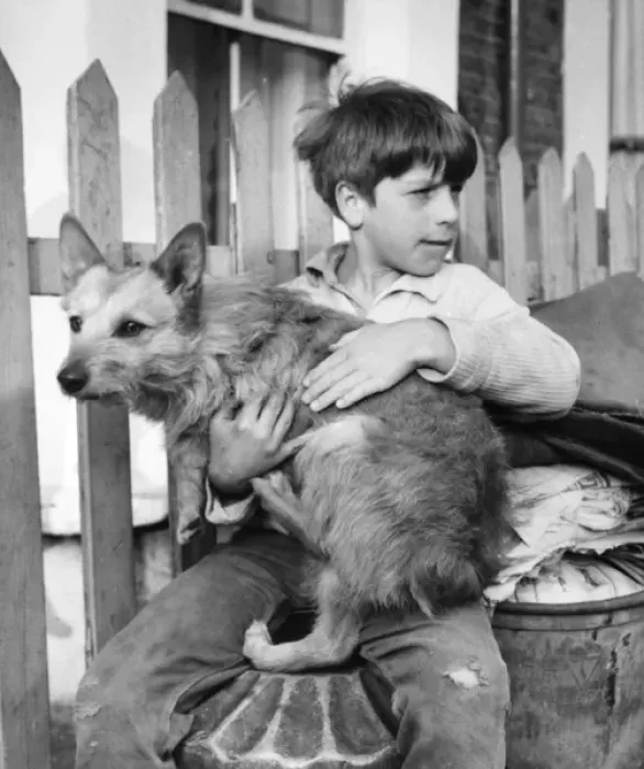 Framed Print : Boy with dog, Balham, SW London Framed Print : Boy with dog, Balham, SW London