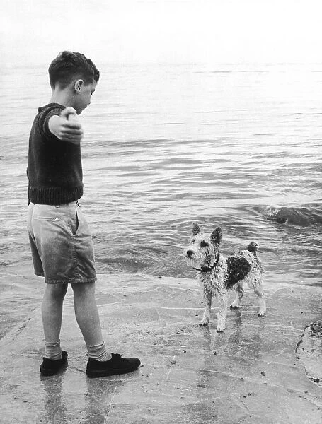 BOY AND DOG  /  BEACH 1963