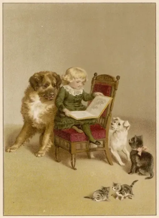 Framed Print : Boy with Dogs & Cats Framed Print : Boy with Dogs & Cats