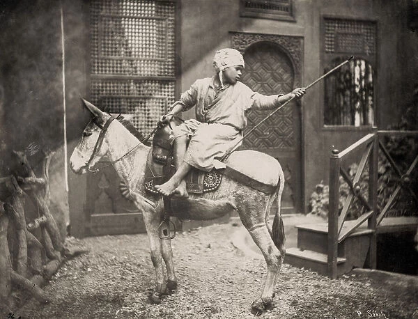 Boy on a donkey, Cairo, Egypt