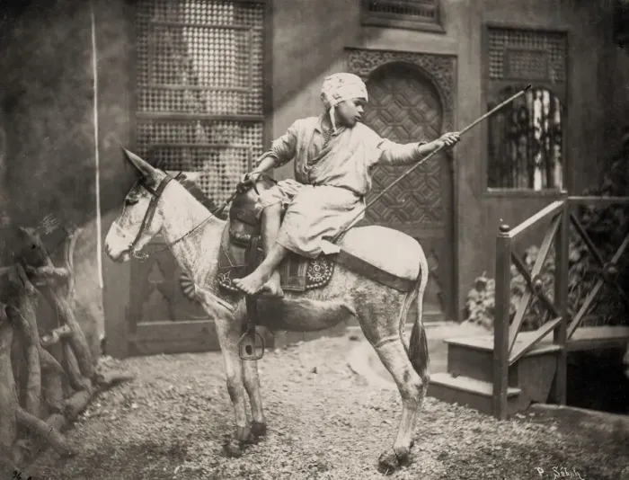 Framed Print : Boy on a donkey, Cairo, Egypt Framed Print : Boy on a donkey, Cairo, Egypt