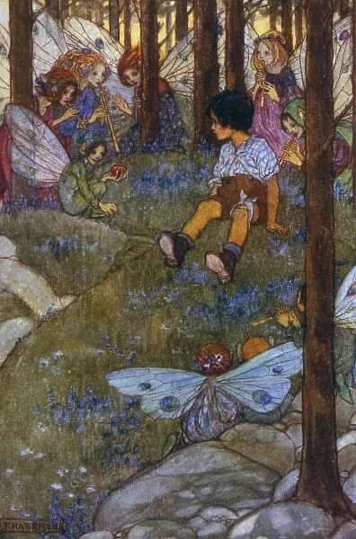 Boy enchanted by the fairies of the forest