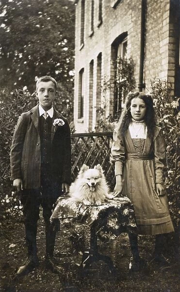 Boy, girl and dog in garden
