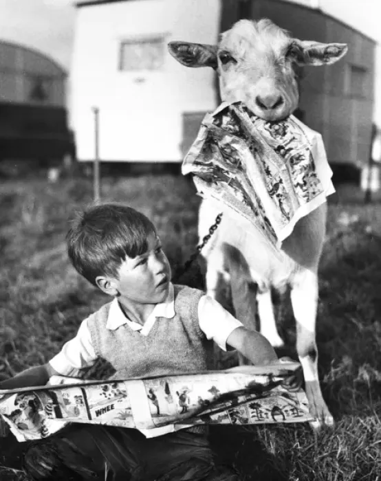 Framed Print : Boy and goat with comic magazine, Balham, SW London Framed Print : Boy and goat with comic magazine, Balham, SW London