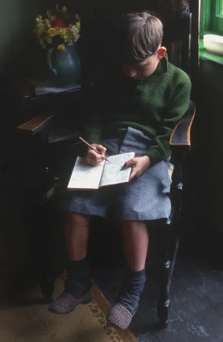 Framed Print : Boy Keeping a Diary Framed Print : Boy Keeping a Diary