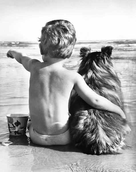 A boy and his pet dog sitting on a beach