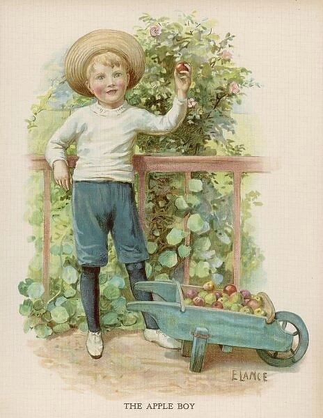 Boy Picking Apples