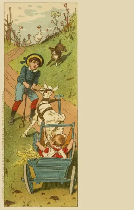 Framed Print : Boy pulling a goat-cart Framed Print : Boy pulling a goat-cart