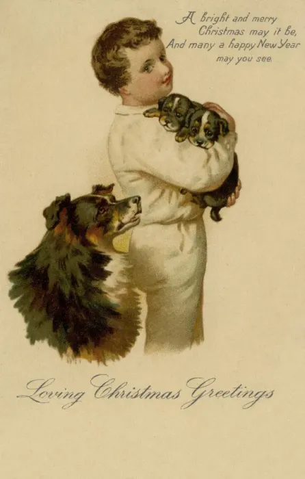 Framed Print : Boy with puppies Framed Print : Boy with puppies