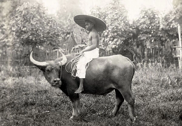 Boy riding water buffalo, Philippines