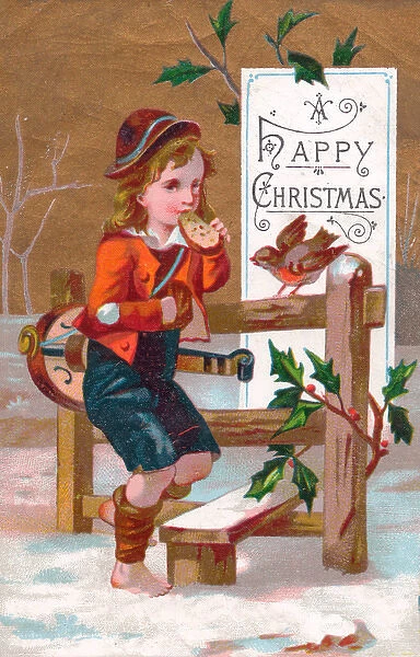 Boy and robin in the snow on a Christmas card