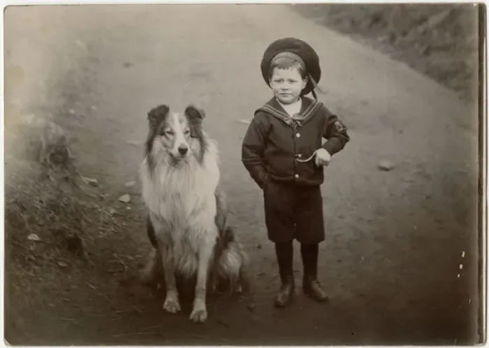 Framed Print : Boy in a sailor suit with a collie dog Framed Print : Boy in a sailor suit with a collie dog