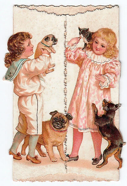 Boy in sailor suit with dogs on a Christmas card