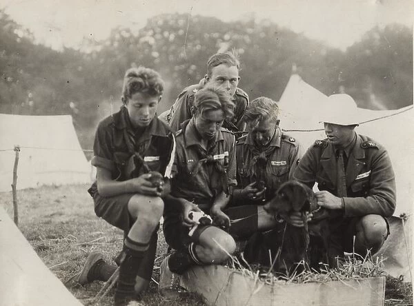 Boy scouts in camp, Denmark