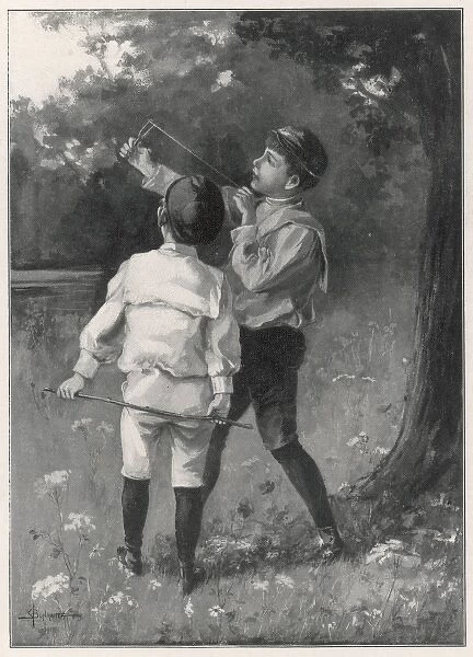 Boy W  /  Catapult 1898