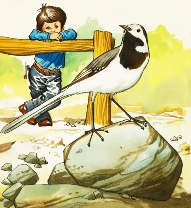 Framed Print : Boy watching an unidentified bird Framed Print : Boy watching an unidentified bird
