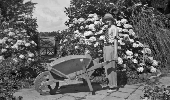 Framed Print : Boy and wheelbarrow in a garden Framed Print : Boy and wheelbarrow in a garden