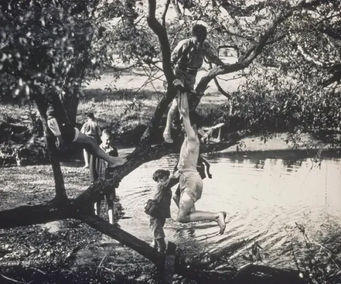 Framed Print : Boys climbing a tree and paddling Framed Print : Boys climbing a tree and paddling