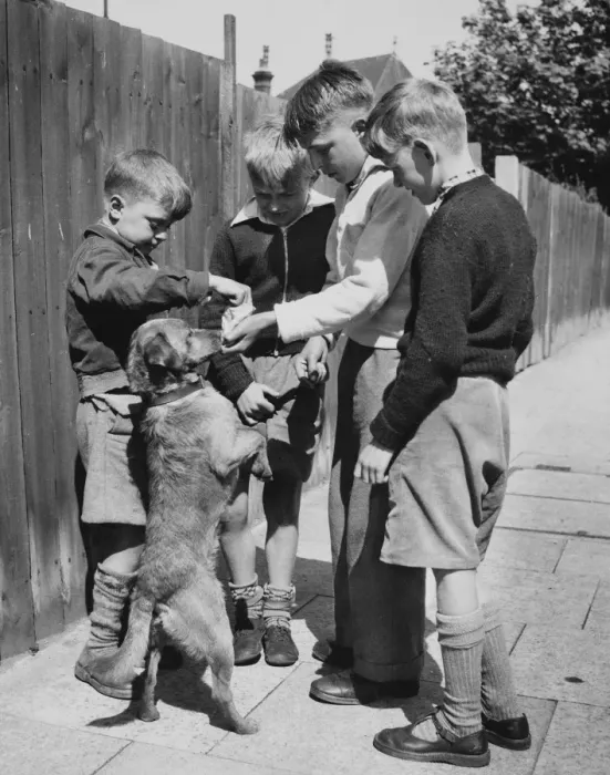 Framed Print : Four boys with dog, Balham, SW London Framed Print : Four boys with dog, Balham, SW London