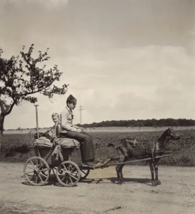 Framed Print : Two boys on dog-drawn cart Framed Print : Two boys on dog-drawn cart