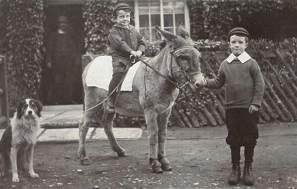 Boys with donkey and dog in a garden