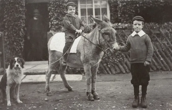 Framed Print : Boys with donkey and dog in a garden Framed Print : Boys with donkey and dog in a garden