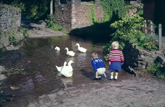Framed Print : Two boys with geese, Allerford, Somerset Framed Print : Two boys with geese, Allerford, Somerset