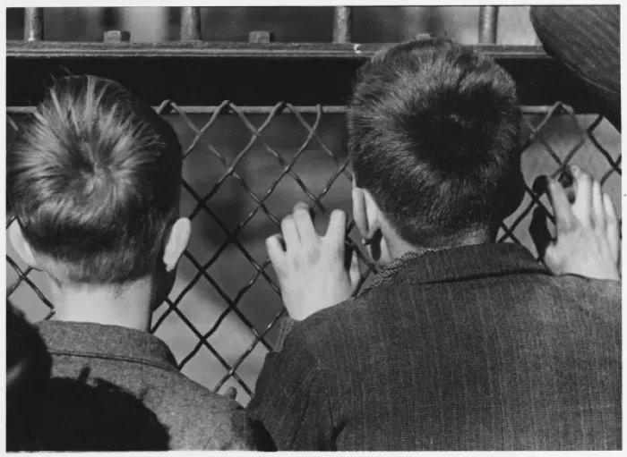 Framed Print : Back of Two Boys Heads Framed Print : Back of Two Boys Heads
