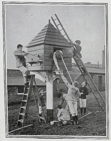 Boys making a pigeon loft